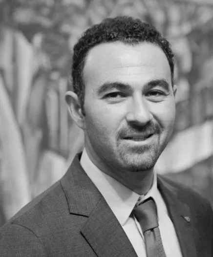 Aly El Shalakany
