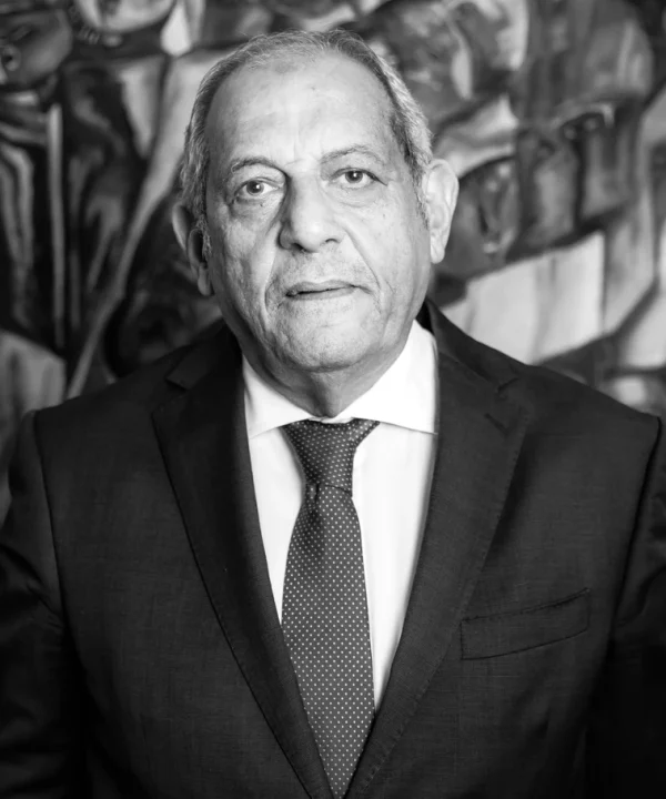 Emad El Shalakany
